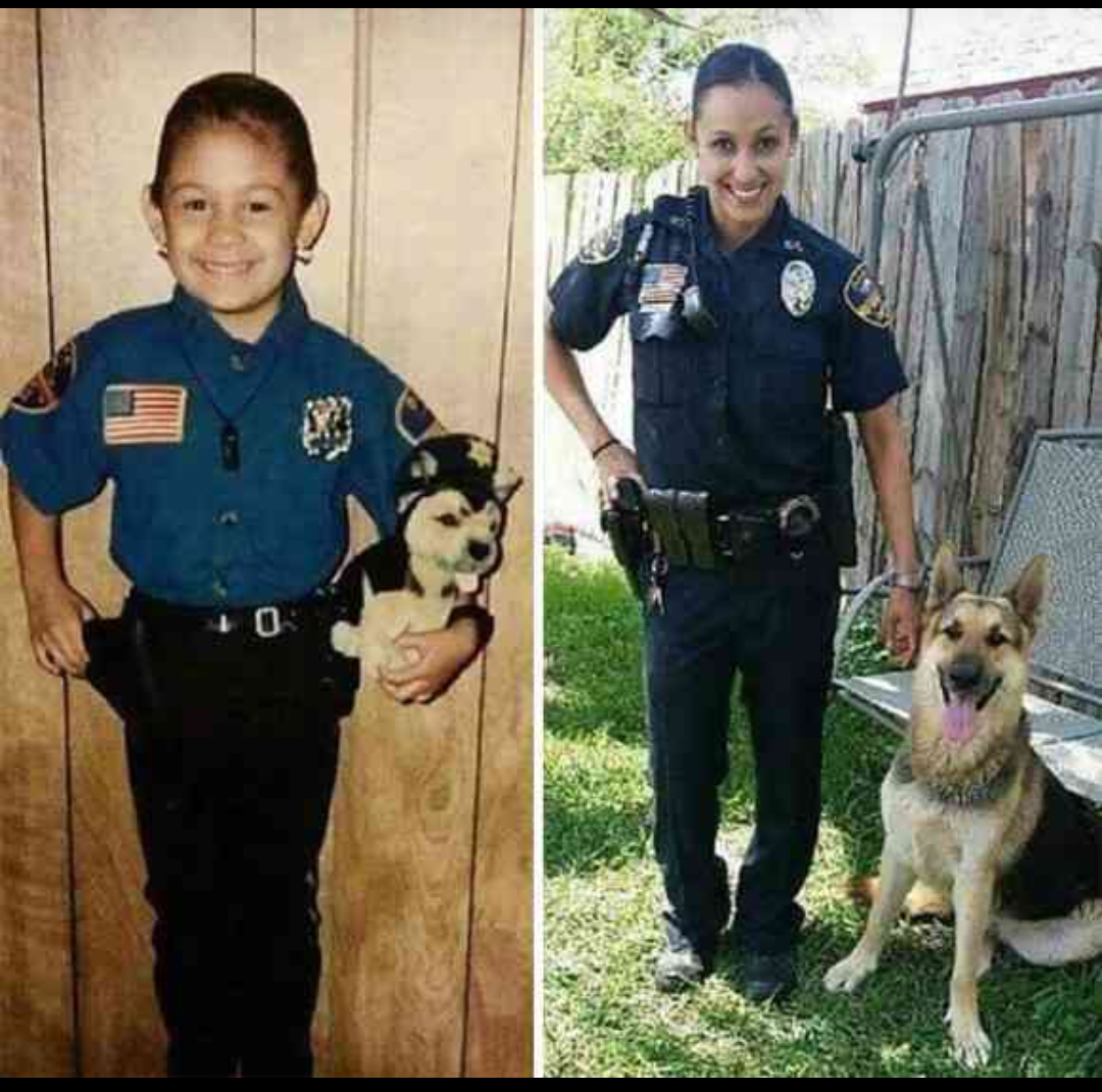 色んな警察犬、救助犬が見たい！