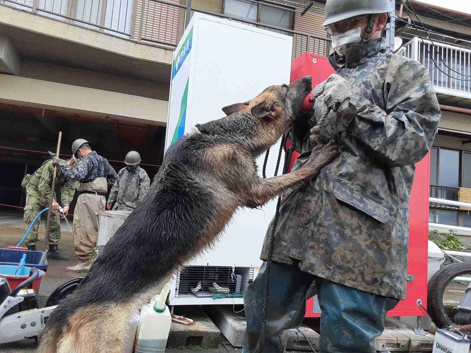 色んな警察犬、救助犬が見たい！