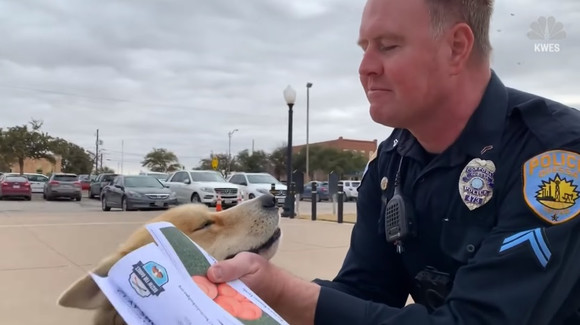 色んな警察犬、救助犬が見たい！