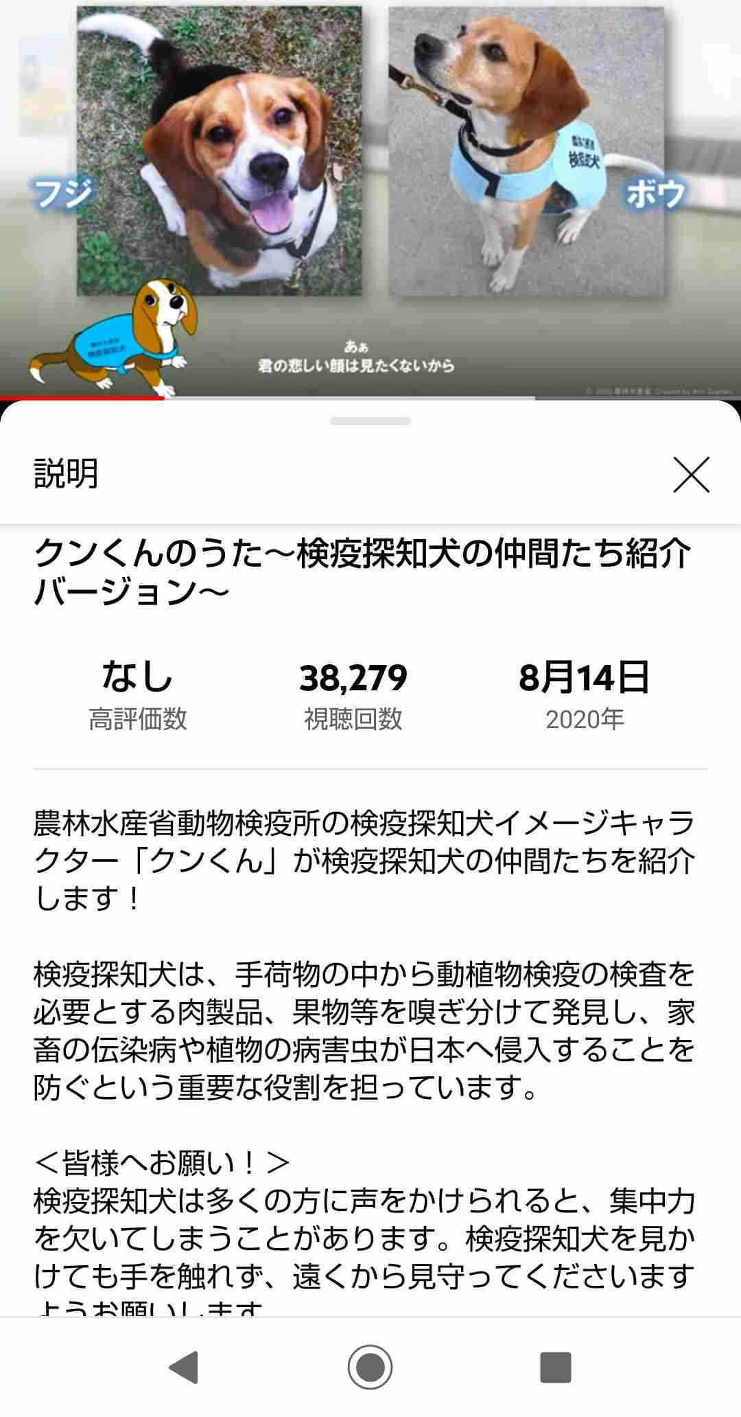 色んな警察犬、救助犬が見たい！