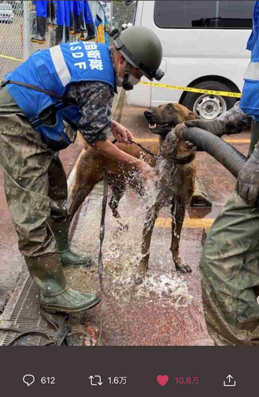 色んな警察犬、救助犬が見たい！