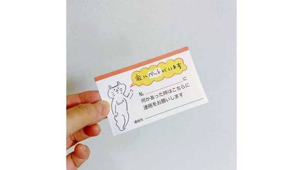 一人暮らしでペットを飼ってもいい？