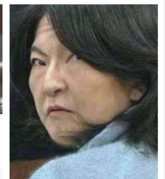 片山さつき氏 ブルーインパルスの雲 “改ざん”？　なぜか「ALWAYS」でツッコミ殺到