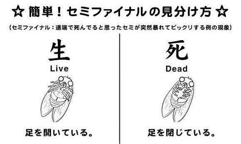 梅雨明けを予想しつつ梅雨の話をいろいろする