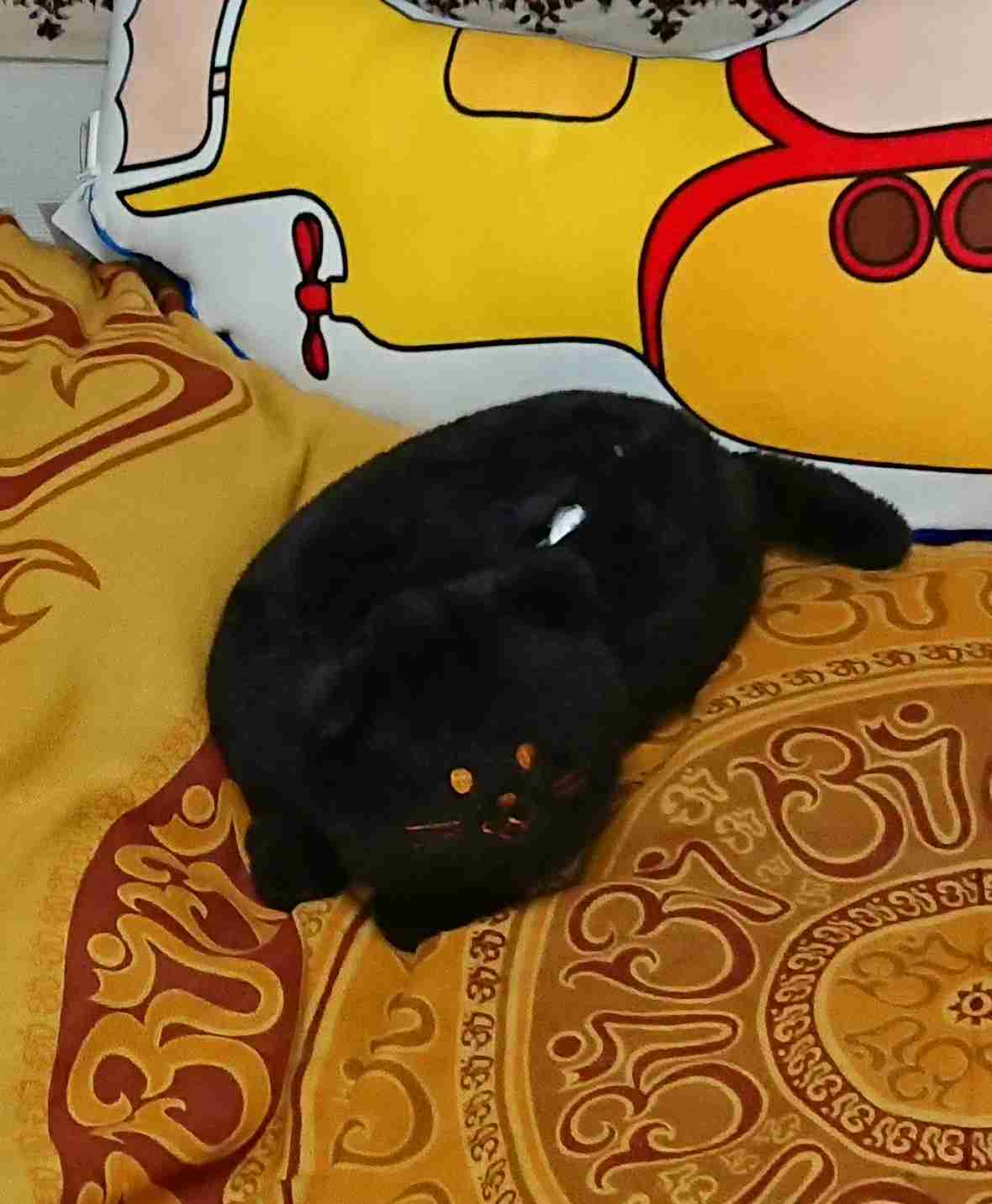 ティッシュカバー何使ってる?