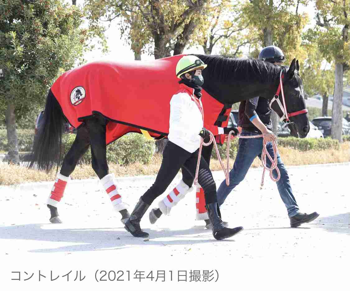 (競馬)明日の宝塚記念を予想しましょう!