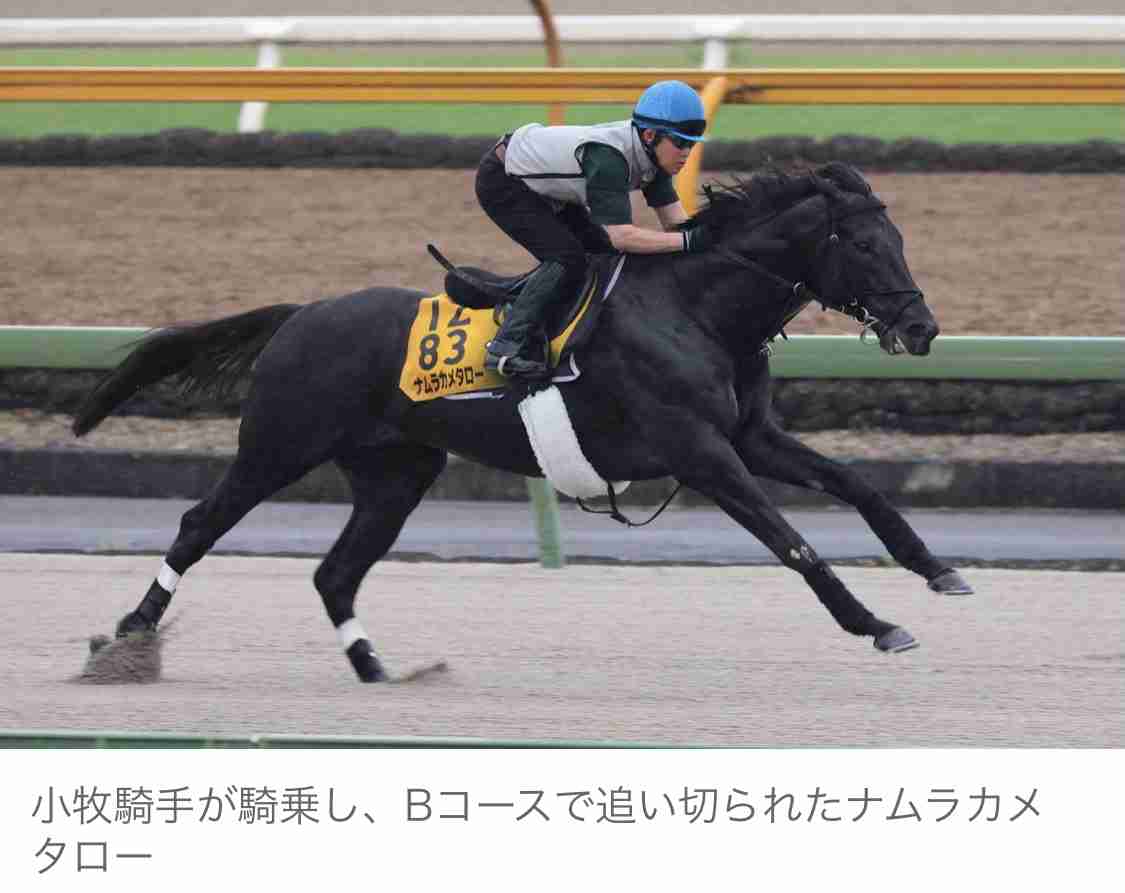 (競馬)明日の宝塚記念を予想しましょう!