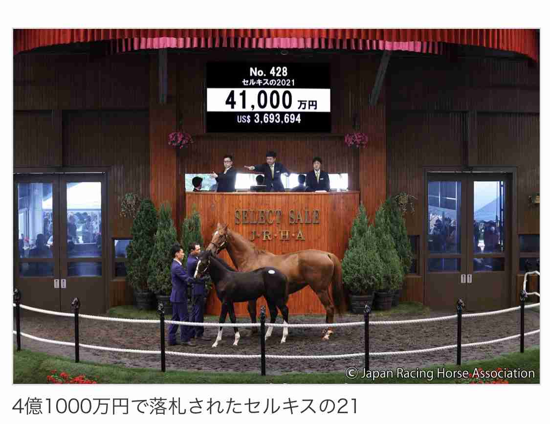(競馬)明日の宝塚記念を予想しましょう!