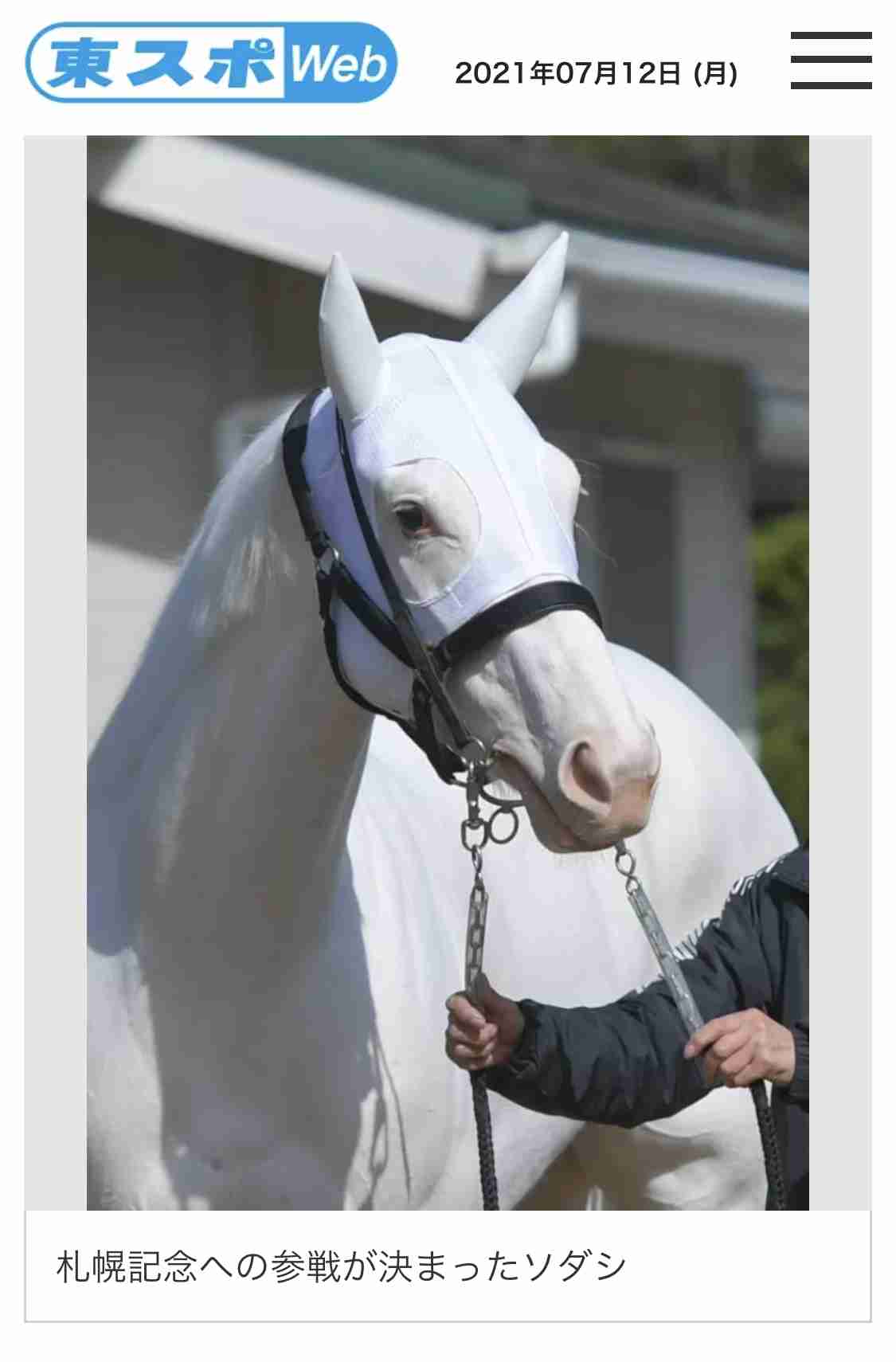 (競馬)明日の宝塚記念を予想しましょう!