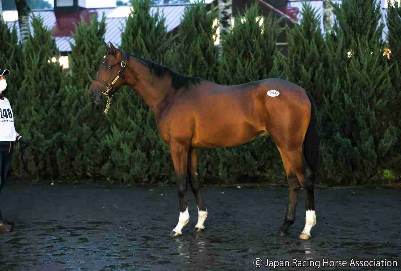 (競馬)明日の宝塚記念を予想しましょう!