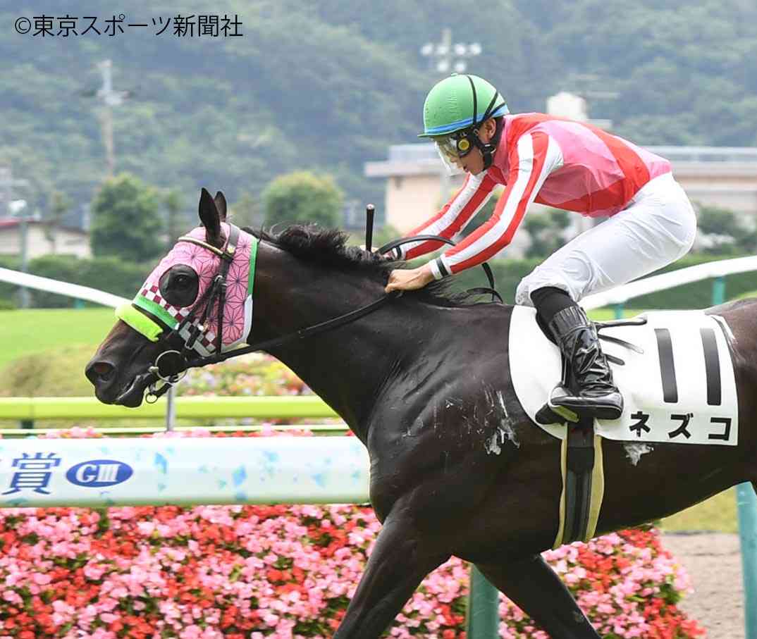 (競馬)明日の宝塚記念を予想しましょう!