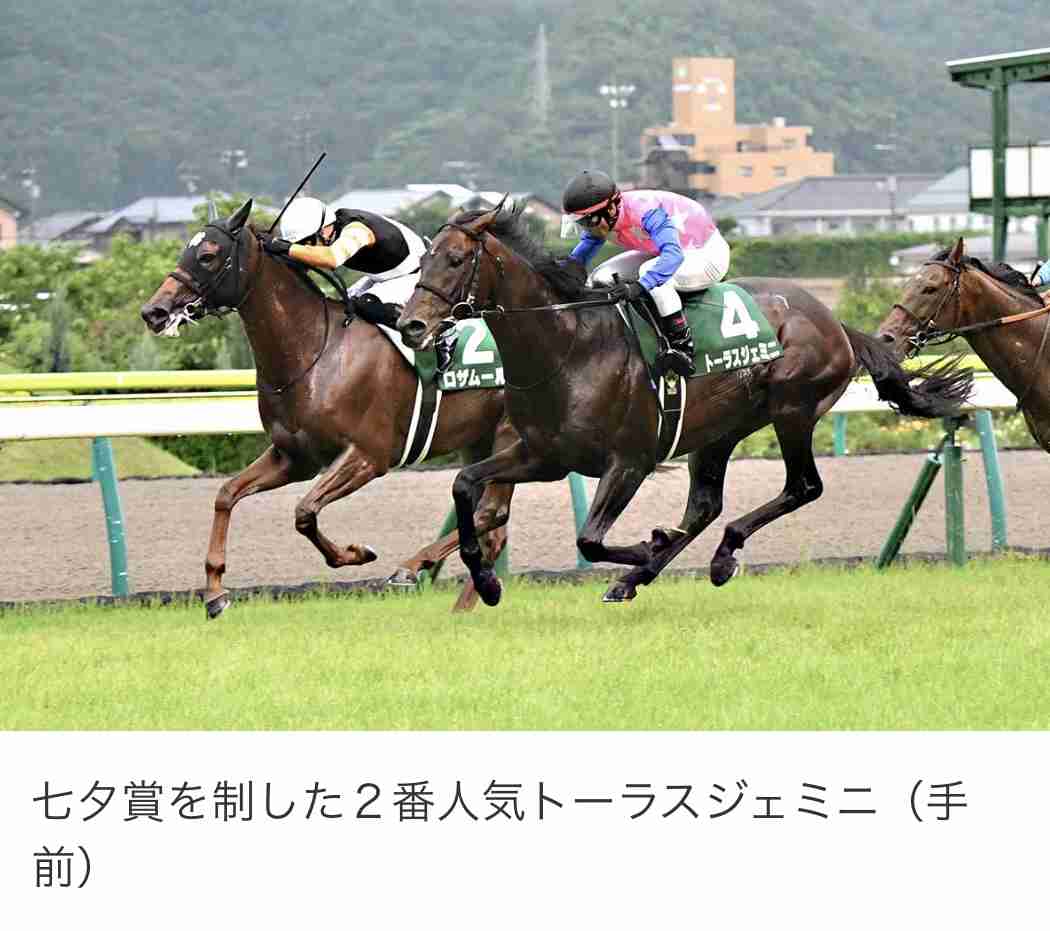 (競馬)明日の宝塚記念を予想しましょう!