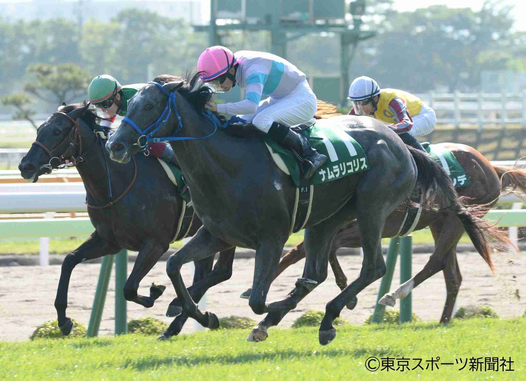 (競馬)明日の宝塚記念を予想しましょう!