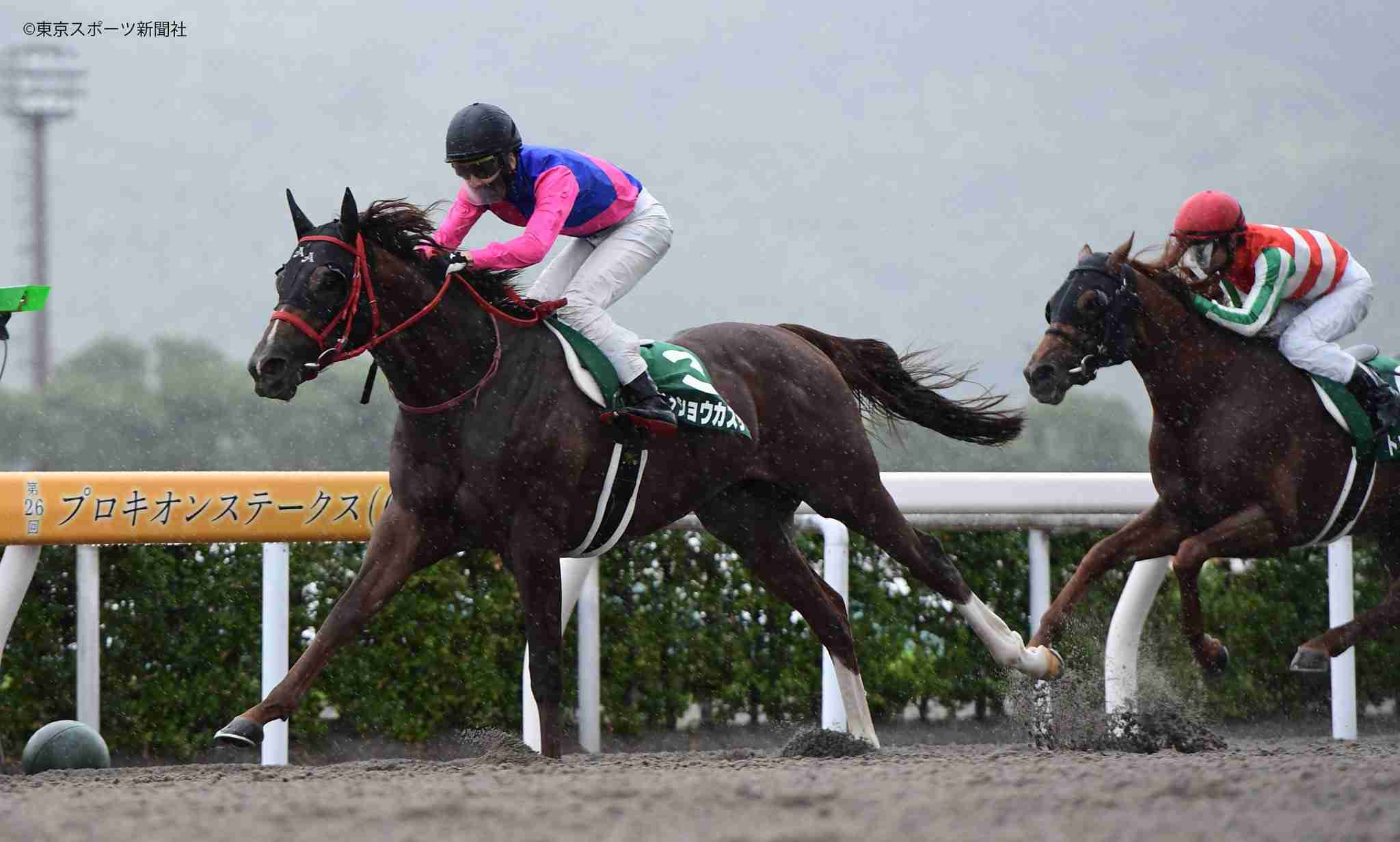 (競馬)明日の宝塚記念を予想しましょう!