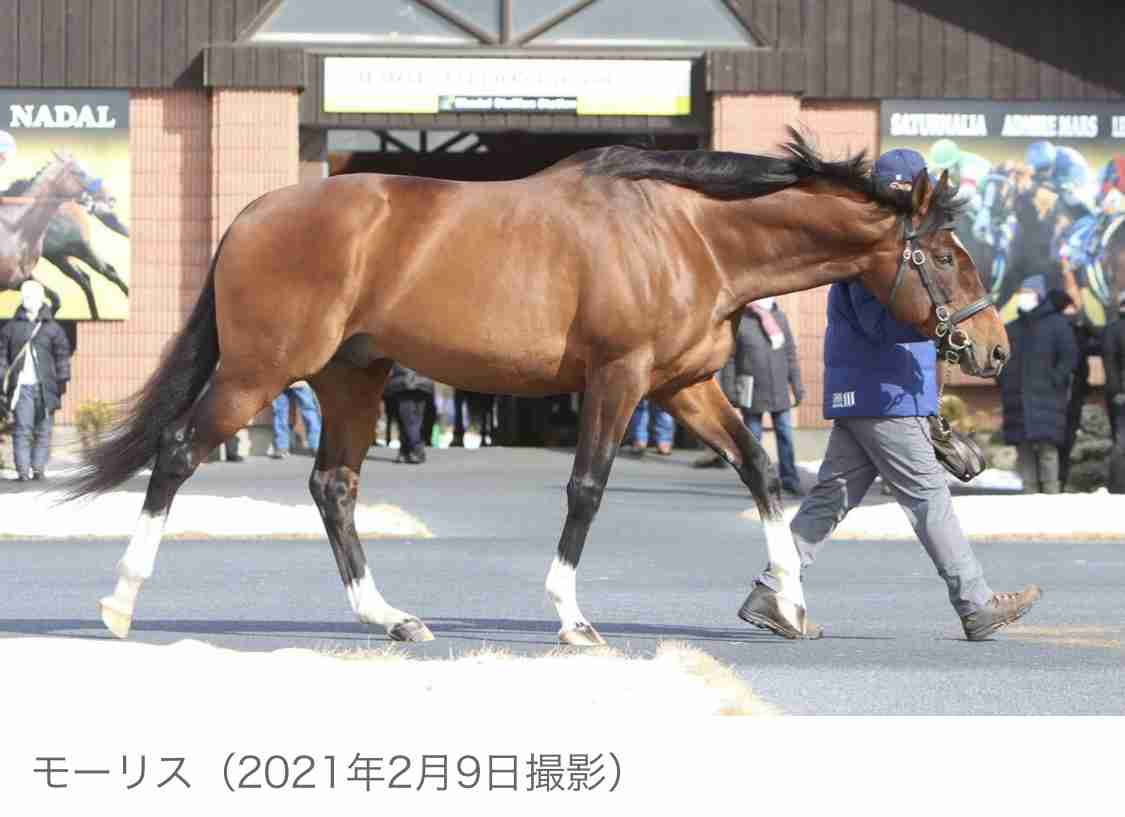 (競馬)明日の宝塚記念を予想しましょう!