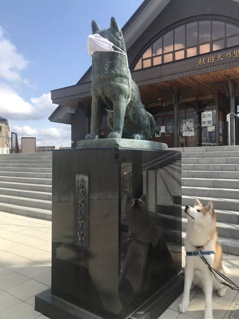 町で見かけたマスクをしたキャラクター達が見たい