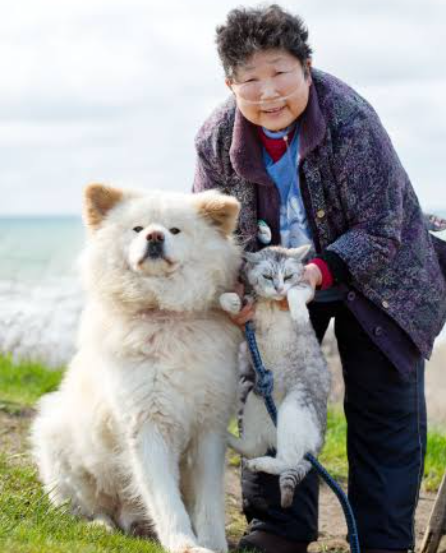 飼い主の半数以上が「自分と愛犬は似ている」と回答　「朝起きるタイミングや、トイレのタイミングまで一緒」という声も