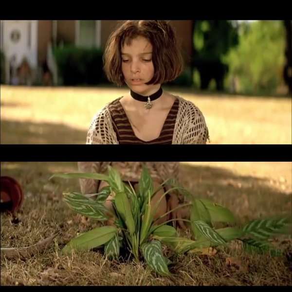 この映画のこのシーンが好き！