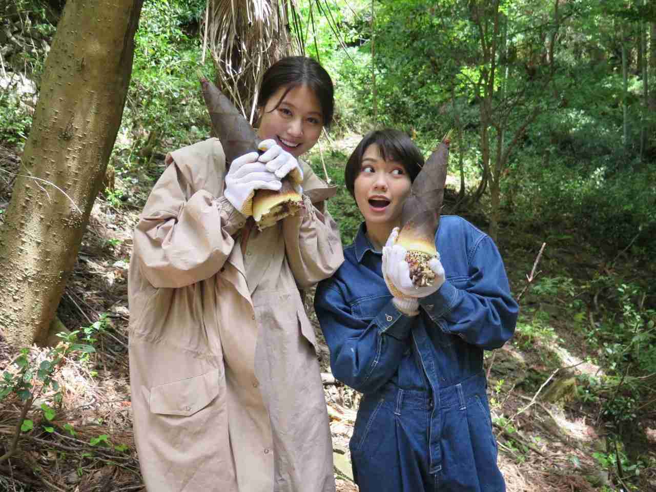 【アンチ厳禁】好きな人限定！有村架純を研究しよう