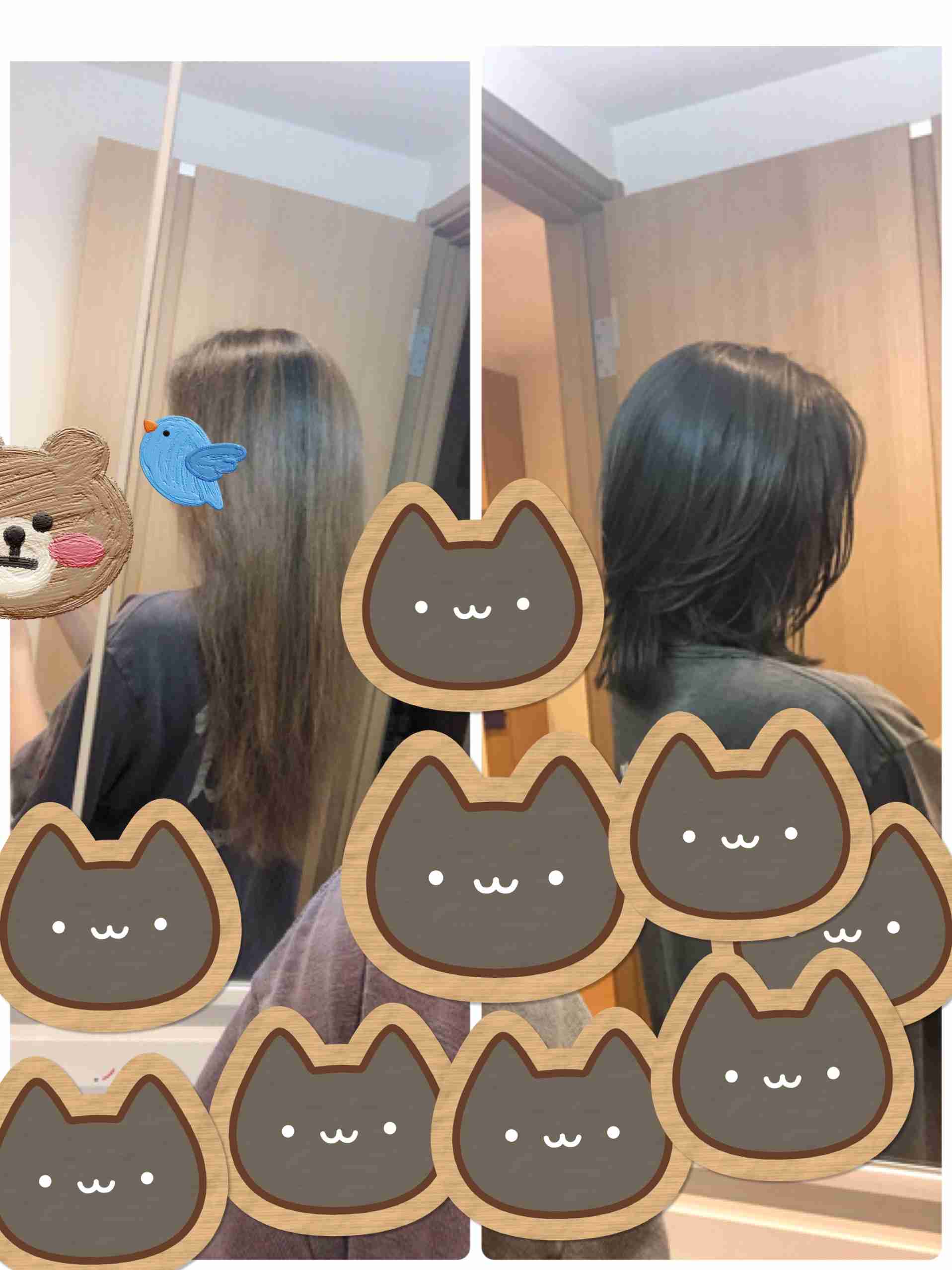 [常駐]毎日何かを報告するトピ[歓迎]