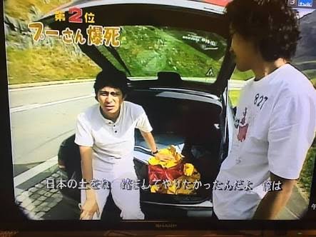 水曜どうでしょうの好きな回は？