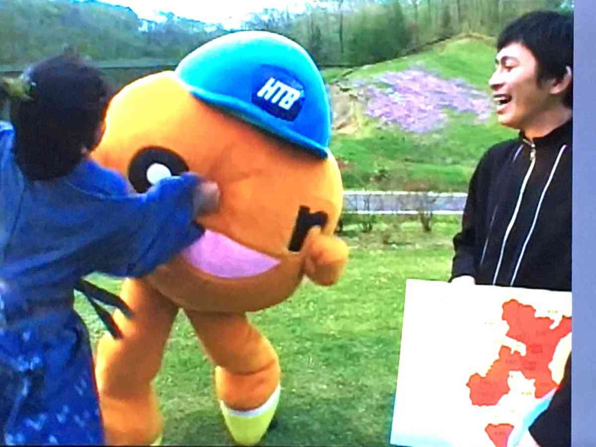 水曜どうでしょうの好きな回は？