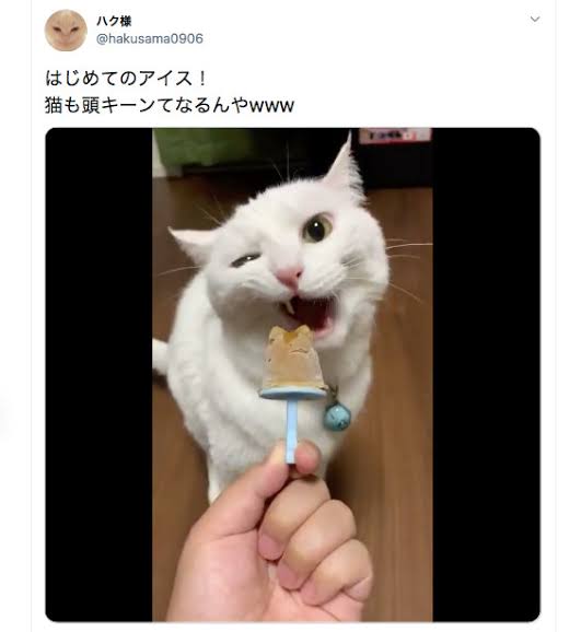 3つの言葉から今食べたい物を当ててもらうトピ