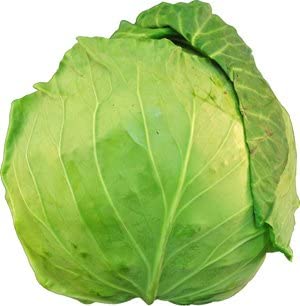 野菜の情報共有をしたい