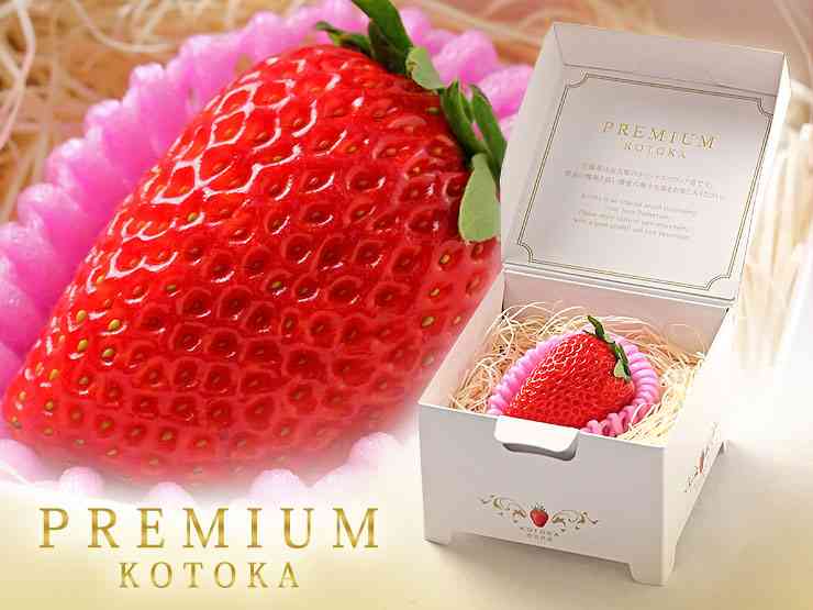 死ぬまでに一度は食べてみたいもの