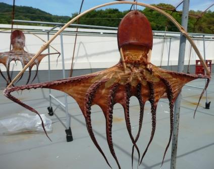 【助けて】タコの大量消費🐙🐙🐙