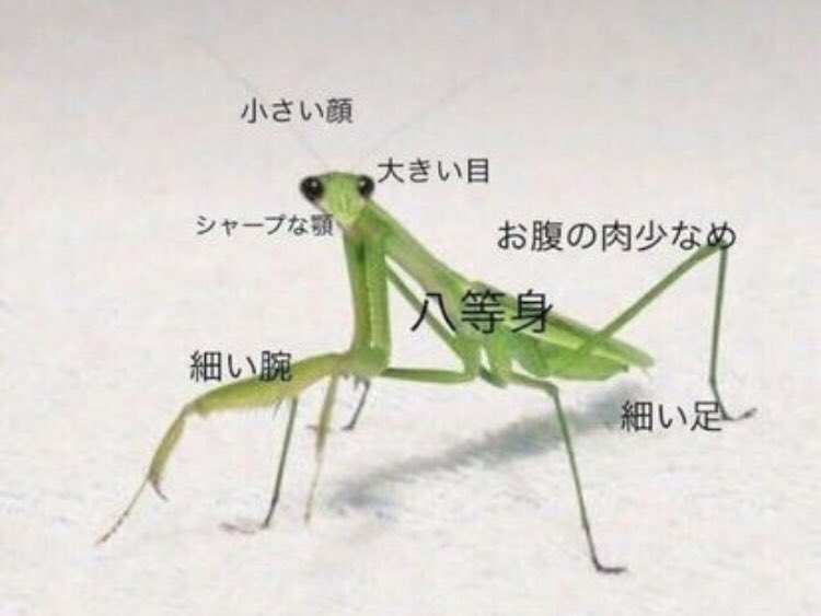 自分のいいところを5個書いて立ち去るトピ