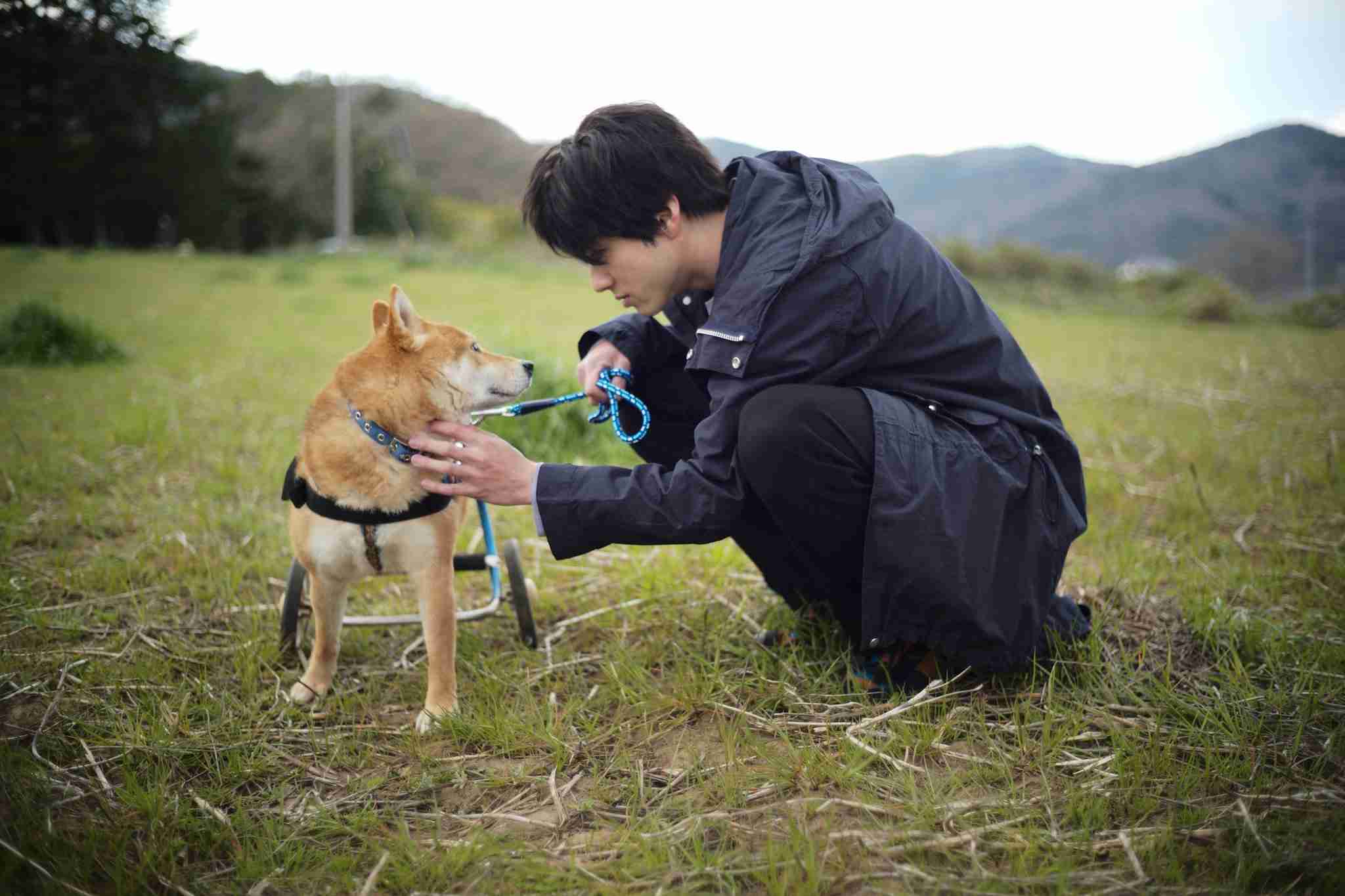 山田裕貴を好きな人！