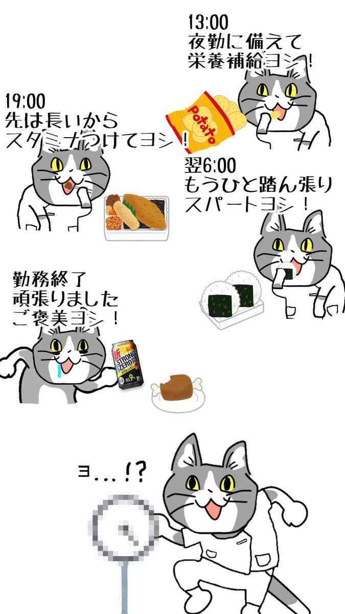 栄養不足かな？と思ったら食べるメニュー【体調は◎】