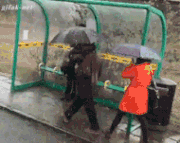 雨の日に自動車に水引っ掛けられた事がある人。