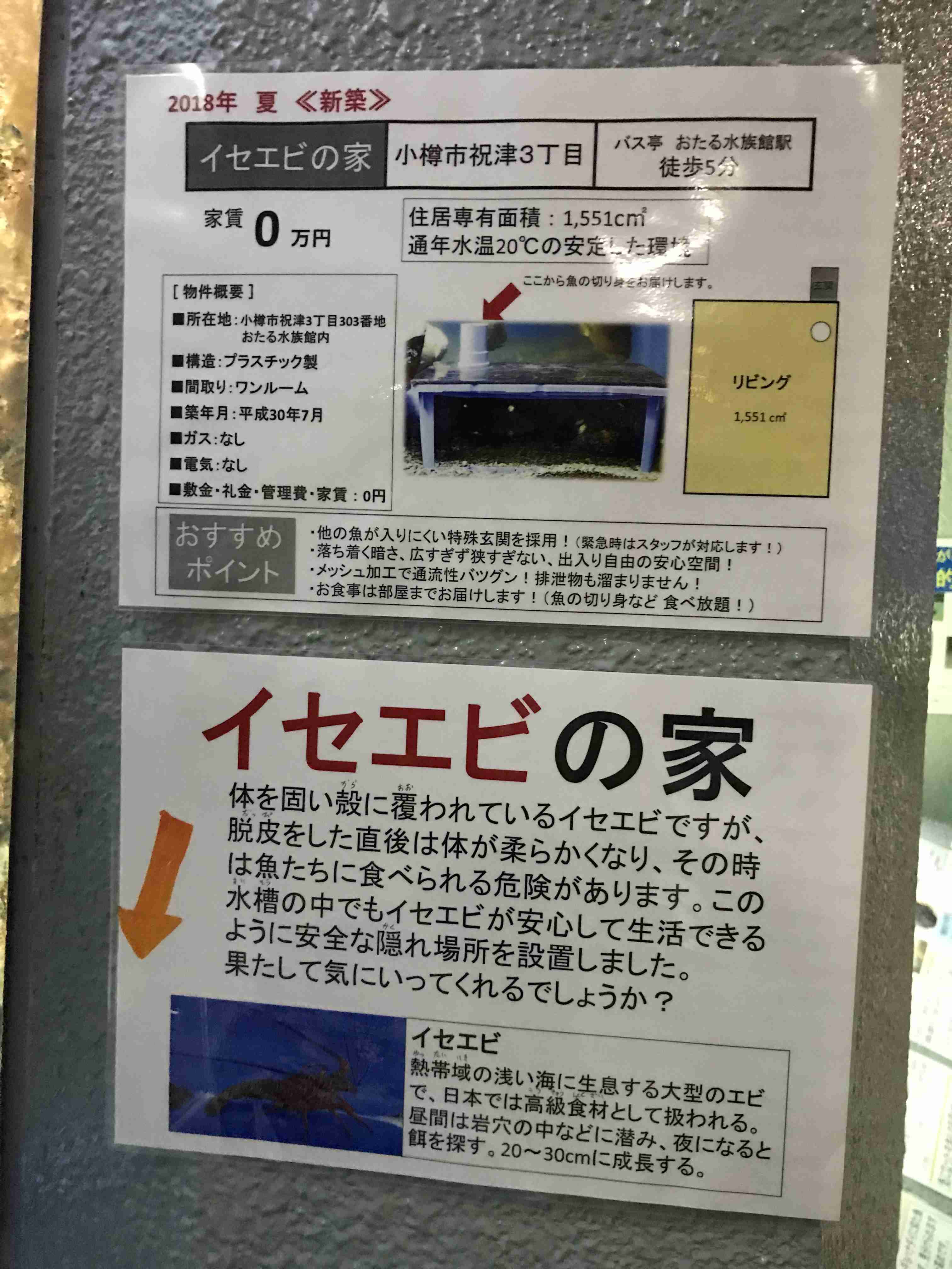 水族館の生き物を貼って癒されるトピ