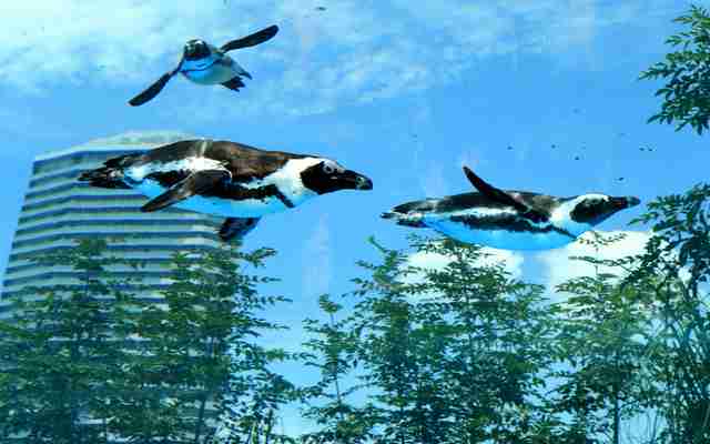 水族館の生き物を貼って癒されるトピ