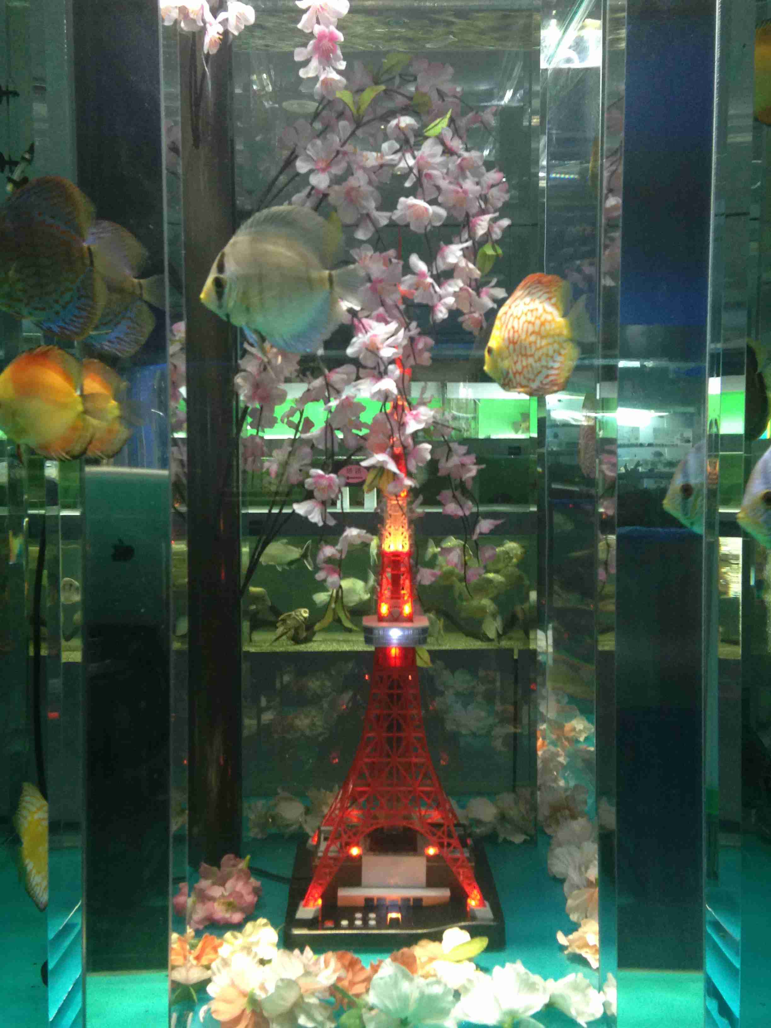 水族館の生き物を貼って癒されるトピ