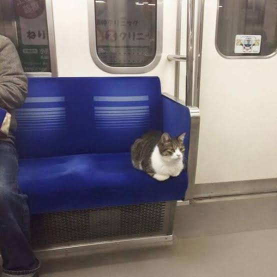 まだまだ日本は安全って思うこと