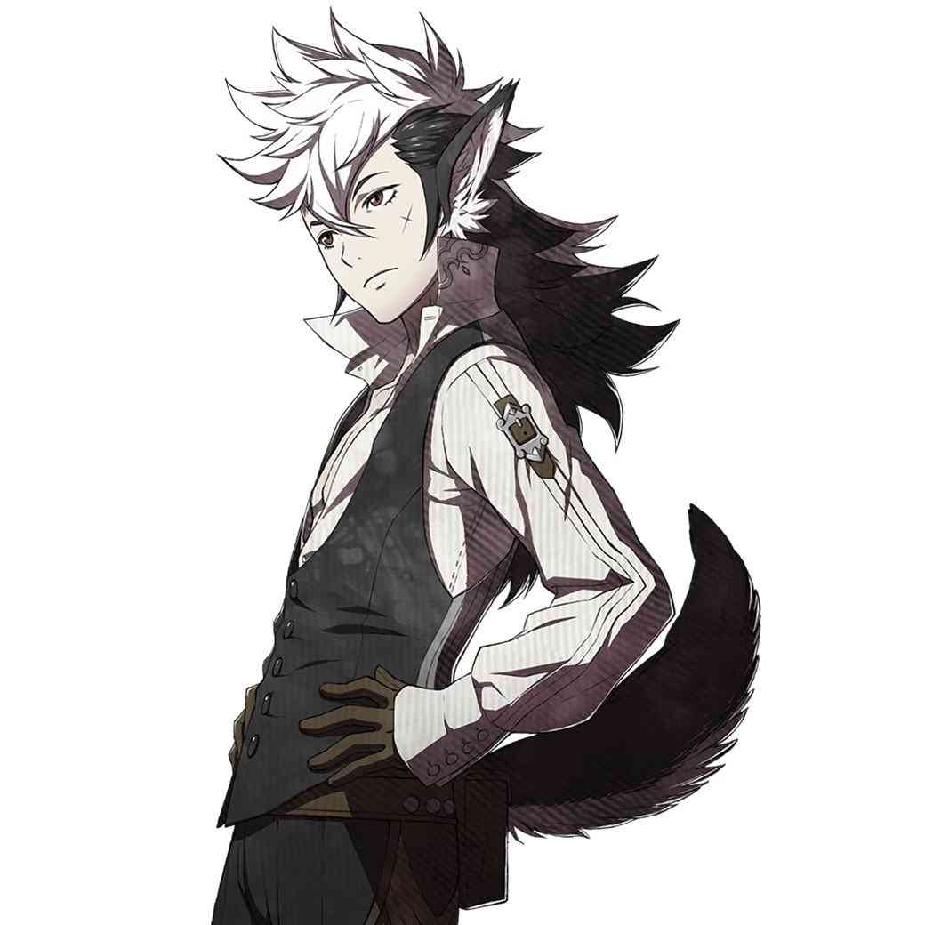 「ファイアーエムブレム」を語りたい