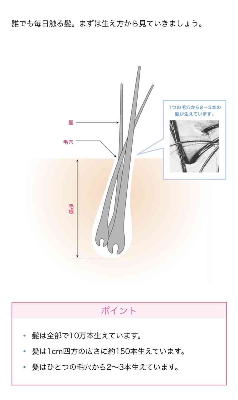白髪は抜くor切るor染める、どれが良いのでしょうか?