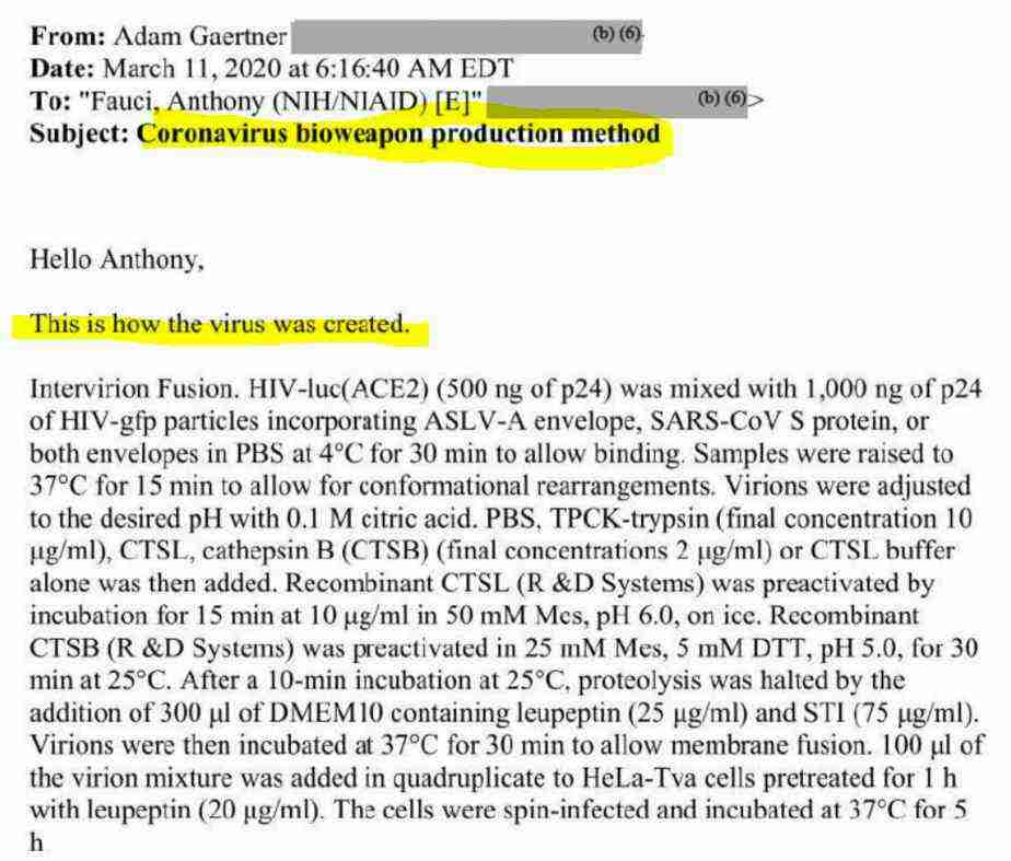 婚活アプリで「トランプ夫人似の金髪美女」から来た怪しいメッセージ