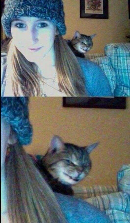 婚活アプリで「トランプ夫人似の金髪美女」から来た怪しいメッセージ