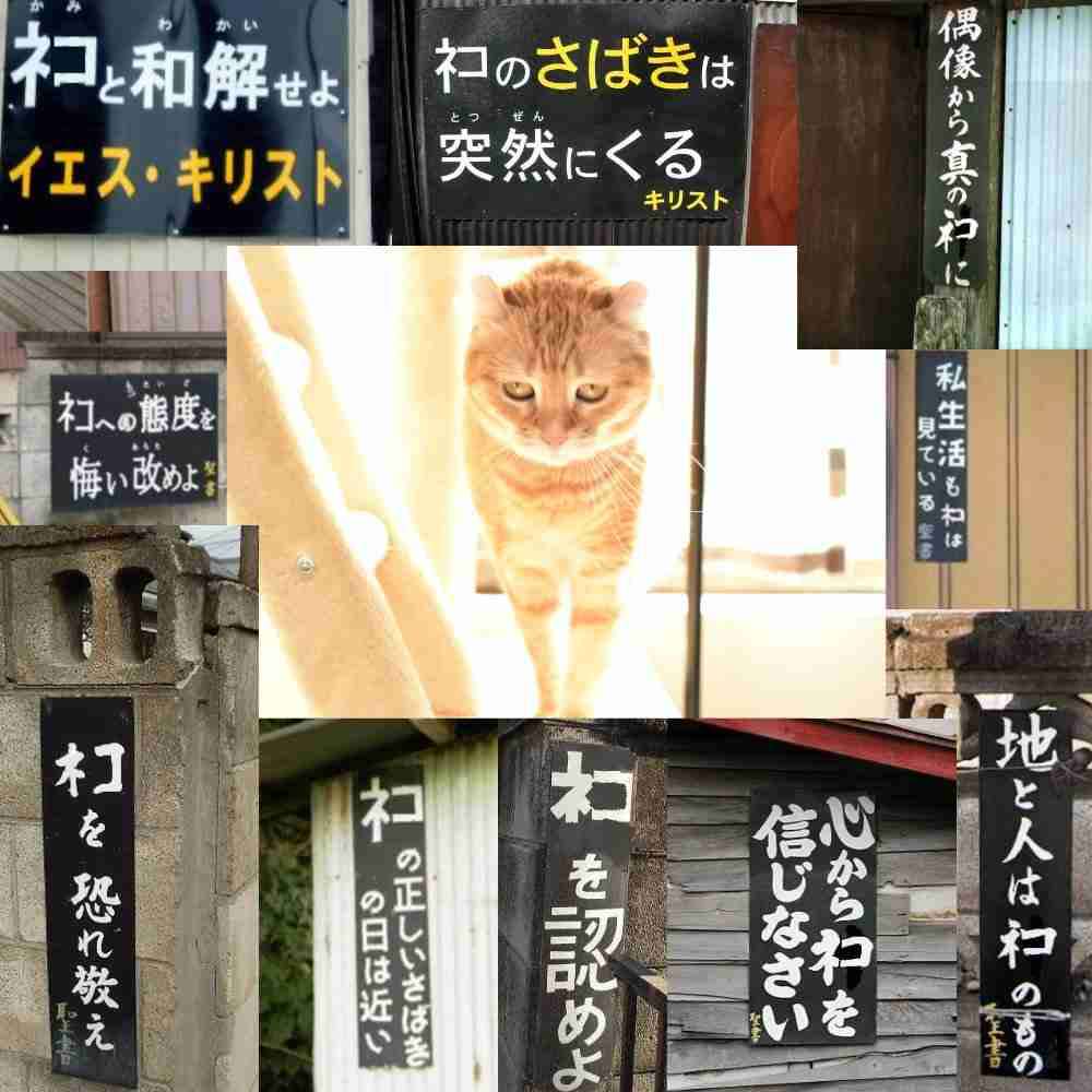 婚活アプリで「トランプ夫人似の金髪美女」から来た怪しいメッセージ