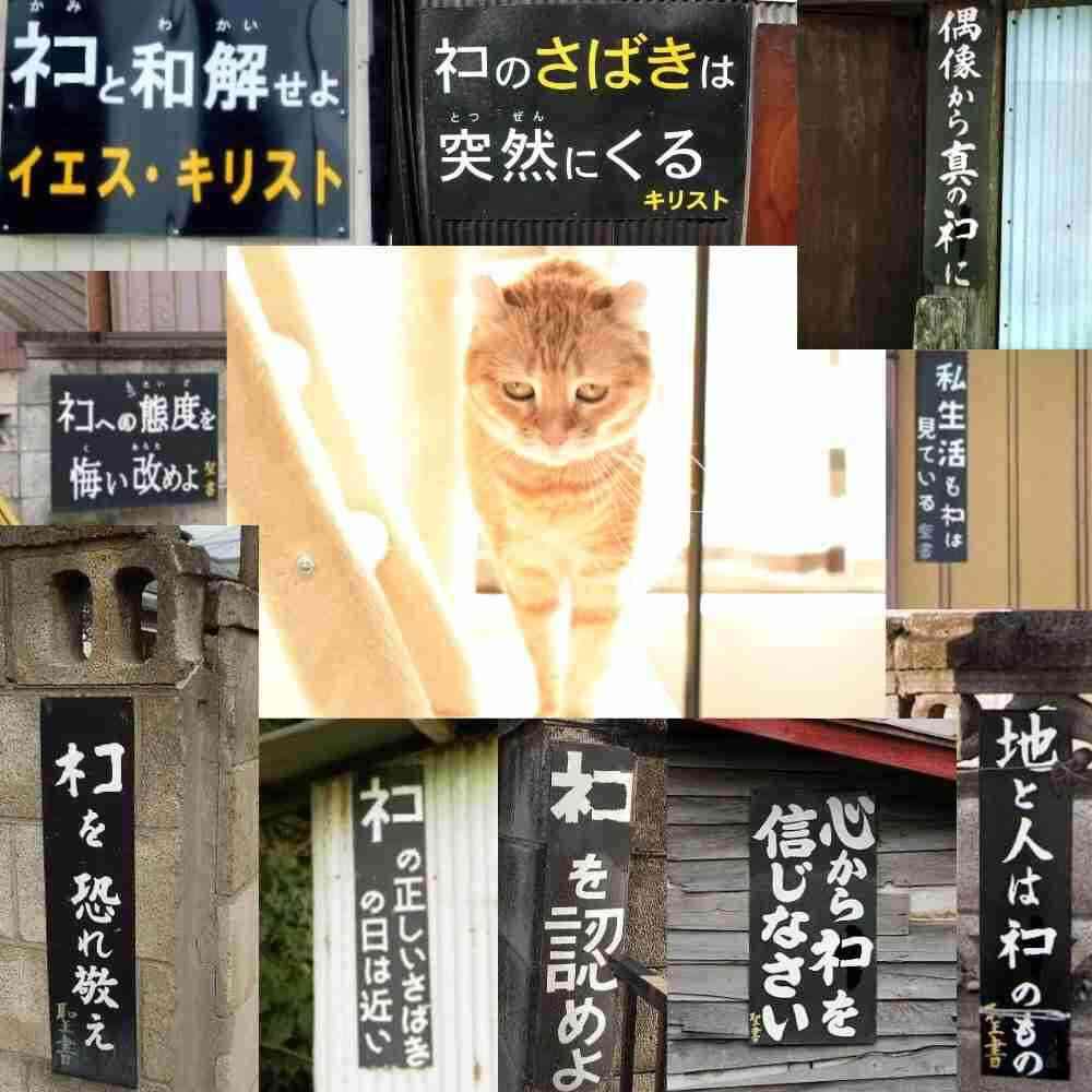 婚活アプリで「トランプ夫人似の金髪美女」から来た怪しいメッセージ