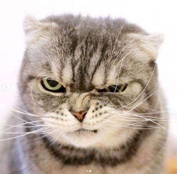 婚活アプリで「トランプ夫人似の金髪美女」から来た怪しいメッセージ