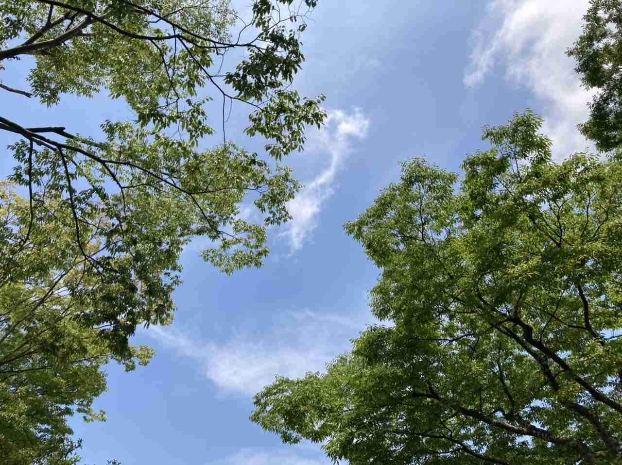 いまそら【空】