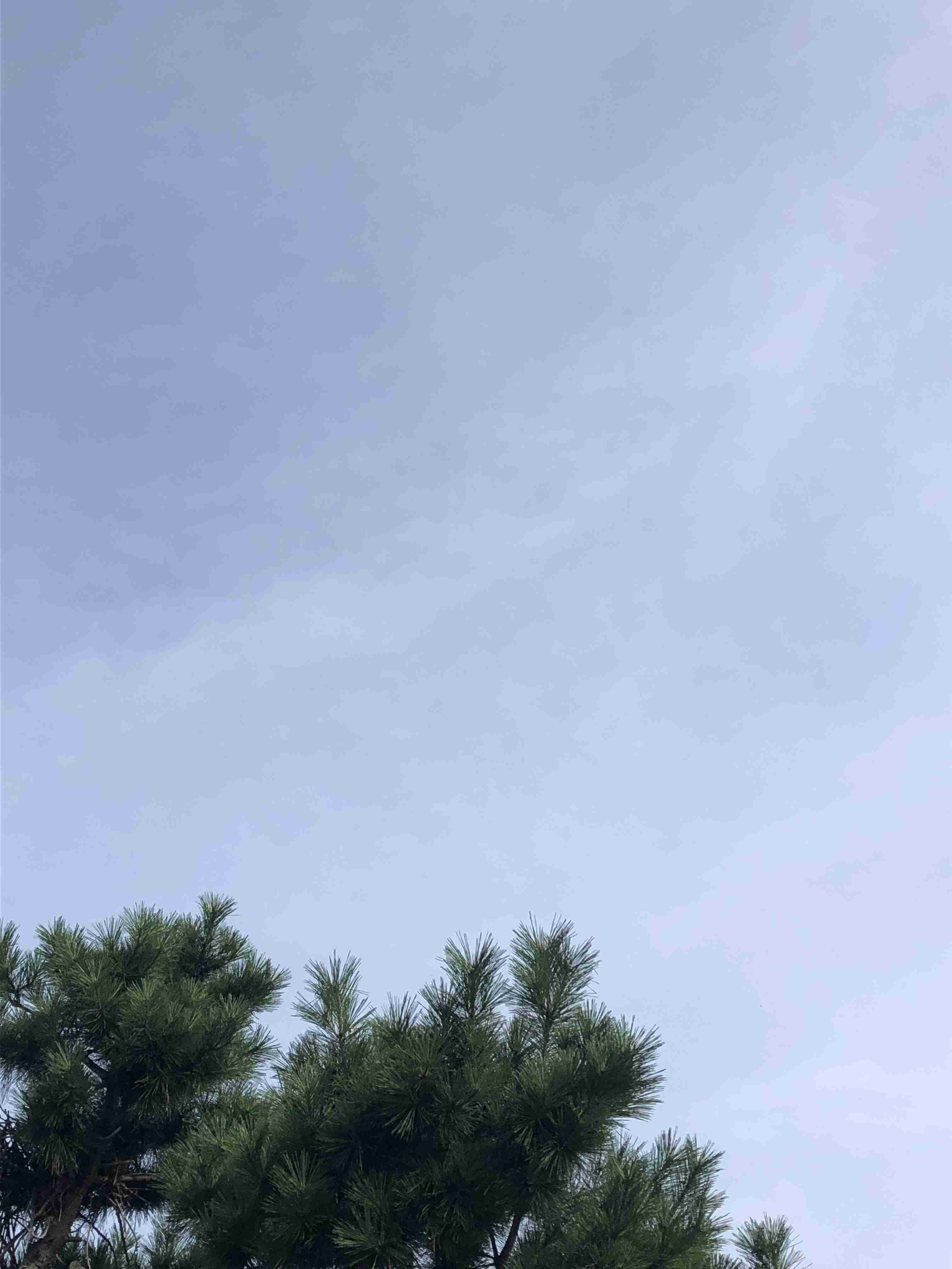 いまそら【空】