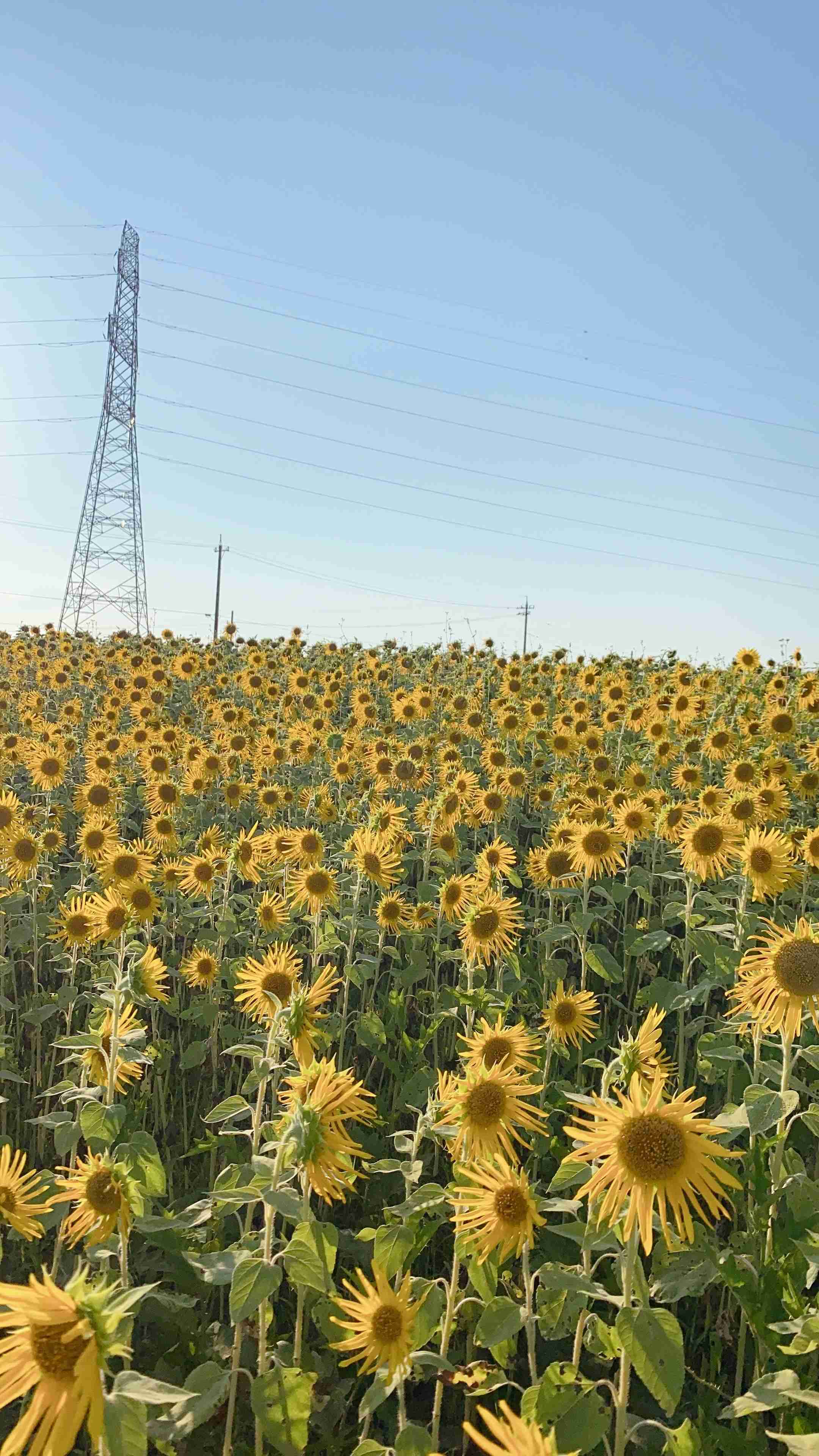 いまそら【空】