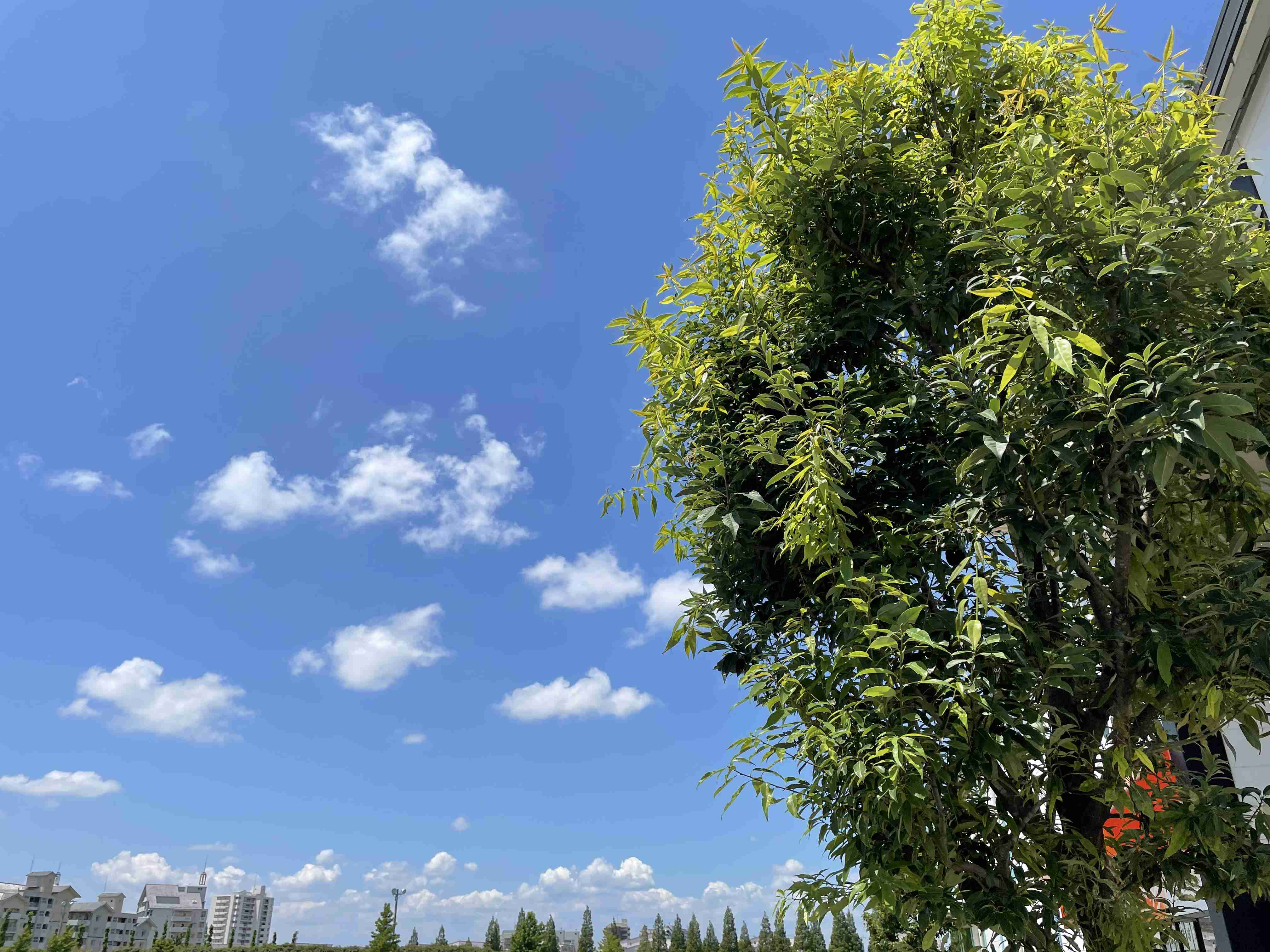 いまそら【空】