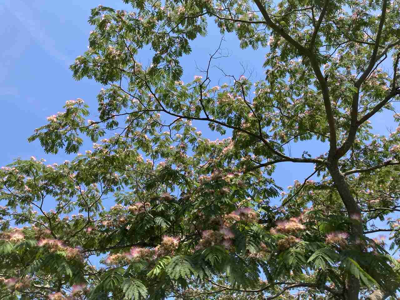 いまそら【空】
